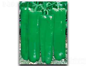 ���ش��901-�����N��-����N��