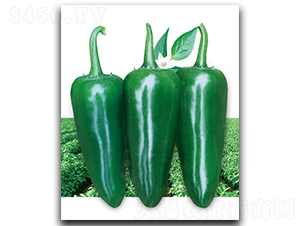 �۽�����-�����N��-����N��