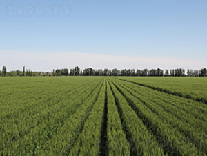 �´�20-С���N��-��ʥ�̷N�I(y��)