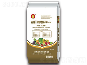 �����@⛛_ʩ��-�Ŷ�-�����Ƽ�