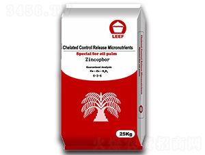 �~�\��6-3-6-�Ŷ�-�����Ƽ�