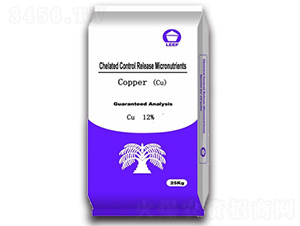 �����~��-�Ŷ�-�����Ƽ�