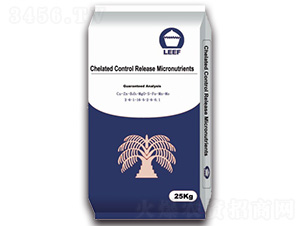 ��Ԫ��(f��)��΢��2-6-1-16-5-2-6-0.1-�Ŷ�-�����Ƽ�