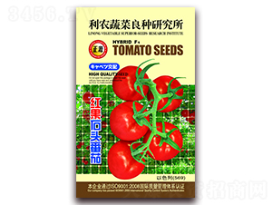 �t��ʯ�^���ѣ�569��-���ѷN��-�����r(n��ng)