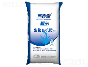 �����ЙC(j��)��-����-�{(l��n)����