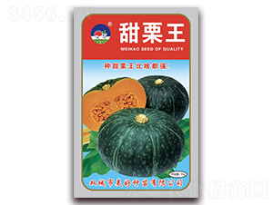 ������-�ϹϷN��-���÷N��