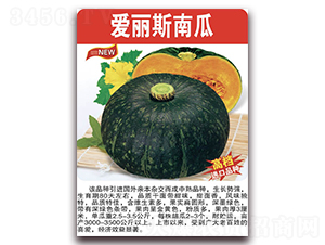 ��(��i)��˹�Ϲ�-�ϹϷN��-���÷N��