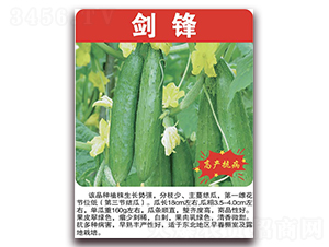 ����-�S�ϷN��-���÷N��