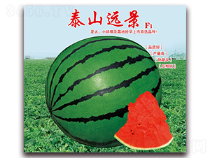 ̩ɽ�h(yu��n)��-���ϷN��-���÷N��