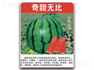 ����o(w��)��-���ϷN��-���÷N��