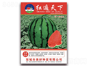 �t������-���ϷN��-���÷N��