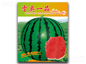 �׊WһƷ-���ϷN��-���÷N��