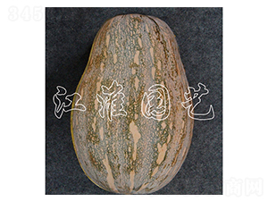 �ɹ�101-�ϹϷN��-�����@ˇ