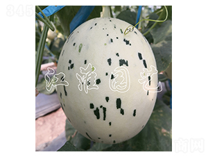 �۲�3̖(h��o)-��ϷN��-�����@ˇ