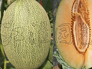 ������7̖(h��o)-��ϷN��-�����@ˇ