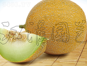 �W��9̖(h��o)-��ϷN��-�����@ˇ