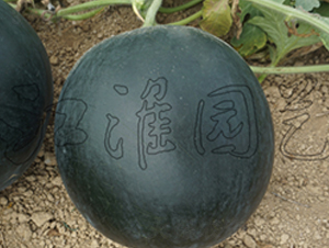 ī��10̖(h��o)-���ϷN��-�����@ˇ