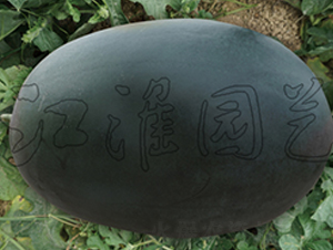 ī��11̖(h��o)-���ϷN��-�����@ˇ