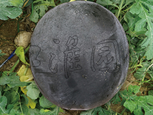 ī��7̖(h��o)-���ϷN��-�����@ˇ