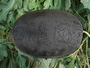 ī��6̖(h��o)-���ϷN��-�����@ˇ