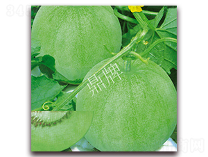 ����118-��ϷN��-���ƷN��