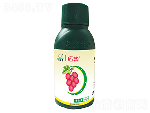 �t���{(di��o)��(ji��)��-�������