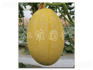 �t��3̖(h��o)-��ϷN��-�����@ˇ