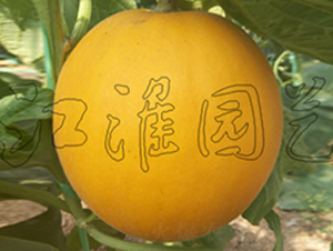 ��ͯ3̖(h��o)-��ϷN��-�����@ˇ