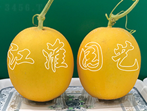 ��ͯ7̖(h��o)-��ϷN��-�����@ˇ