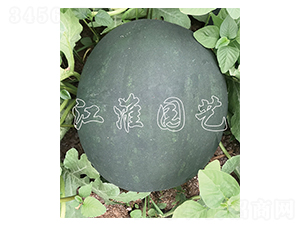 ����13̖-���ϷN��-�����@ˇ