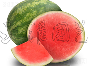 �o��5̖(h��o)-���ϷN��-�����@ˇ