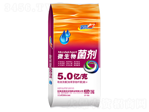 5�|���΢�������-���L(f��ng)����