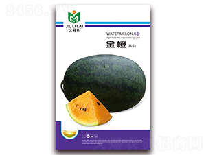 ���-���ϷN��-���i�N�I(y��)