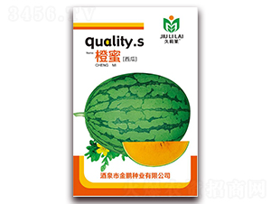 ����-���ϷN��-���i�N�I(y��)