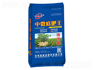 ����������΢�׷���-�����A-��ʩ��