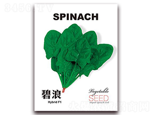 ����-���˷N��-���i�N�I(y��)