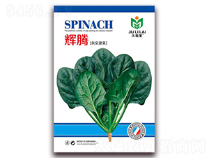 �x�v-���˷N��-���i�N�I(y��)