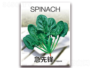 �����h-���˷N��-���i�N�I(y��)