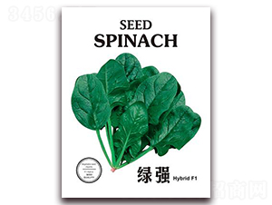 �G��-���˷N��-���i�N�I(y��)