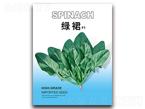 �Gȹ-���˷N��-���i�N�I(y��)