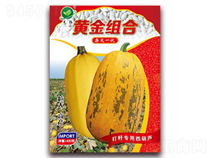 �S��M��-���������J�N��-���i�N�I(y��)