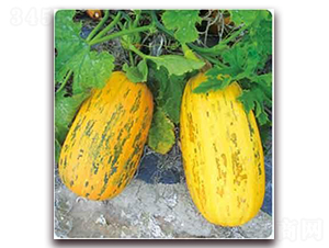 �S��599F1-���������J�N��-���i�N�I(y��)