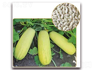 �S��698F1-���������J�N��-���i�N�I(y��)