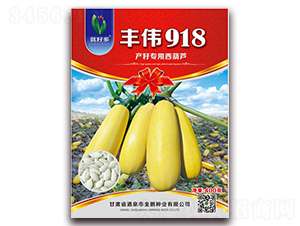 �S��918F1-���������J�N��-���i�N�I(y��)