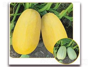 �S��950F1-���������J�N��-���i�N�I(y��)