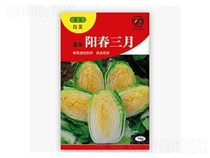 ꖴ�����-�ײ˷N��-����