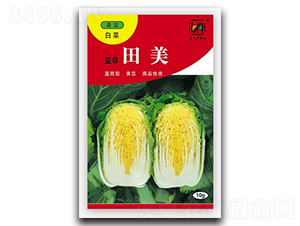 ����-�ײ˷N��-����