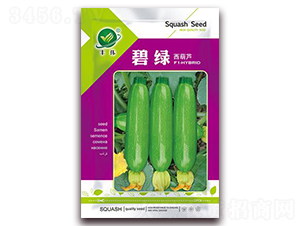 �̾G-���������J�N��-���i�N�I(y��)