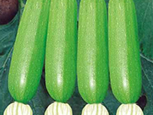 �䬓-���������J�N��-���i�N�I(y��)