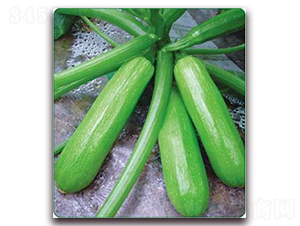 ����-���������J�N��-���i�N�I(y��)